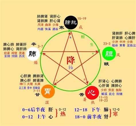 八字木太旺|命中八字木属性太旺的人 (八字木旺的人要注意什么)